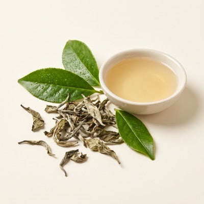 White Tea Extract
