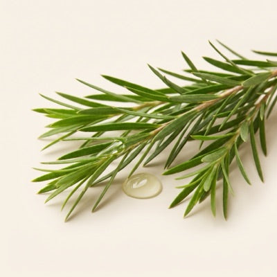 Tea Tree Oil